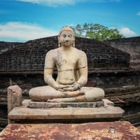 Waterfalls to Waves: The Scenic Sri Lanka Route